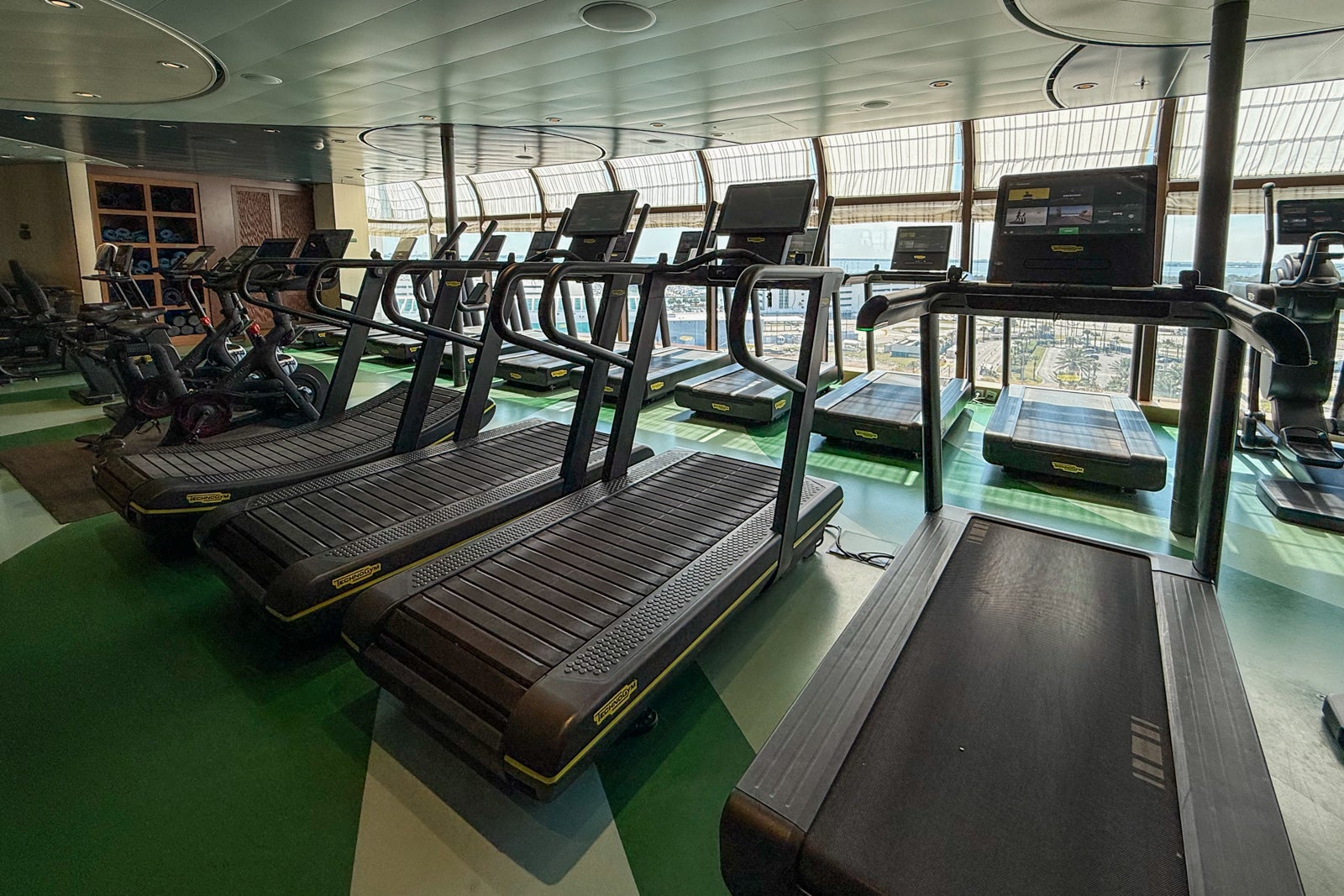 Disney Fantasy gym