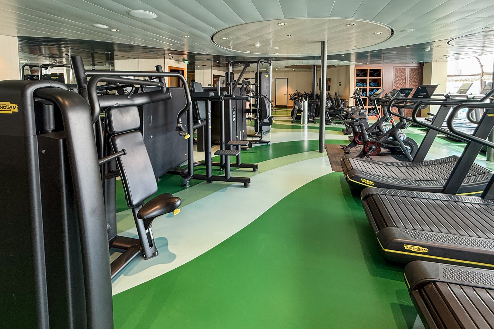 Disney Fantasy gym