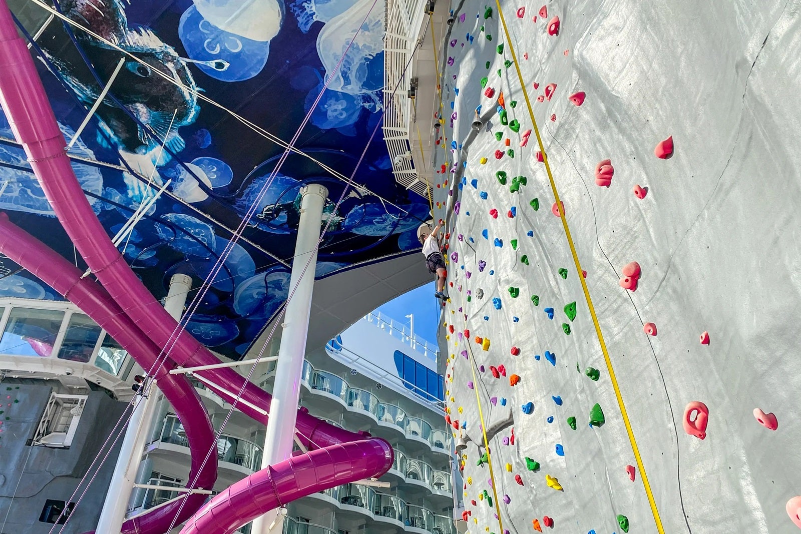 Wonder of the Seas' Ultimate Abyss and rock climbing wall