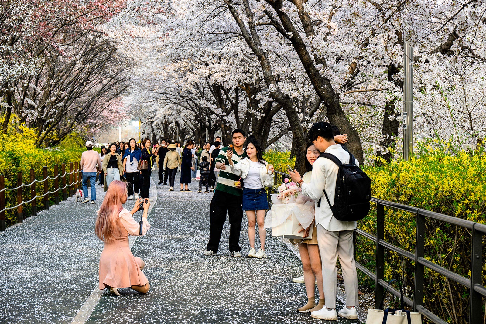 The best places to stay for cherry blossom season