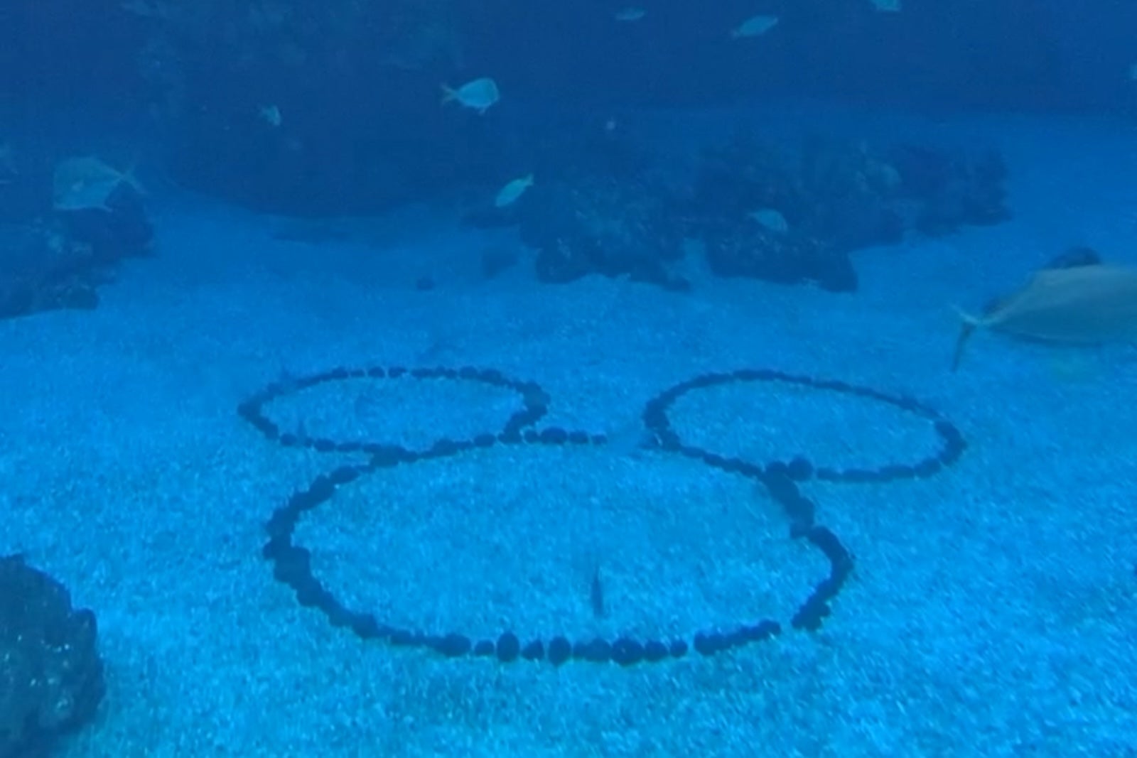 Hidden Mickey